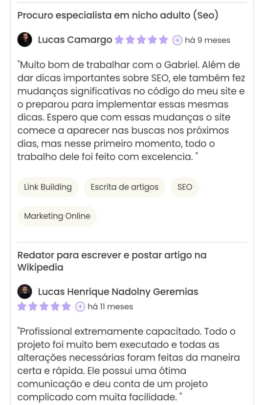 Print Workana do projeto Estratégia de Seo para site de gráfica
