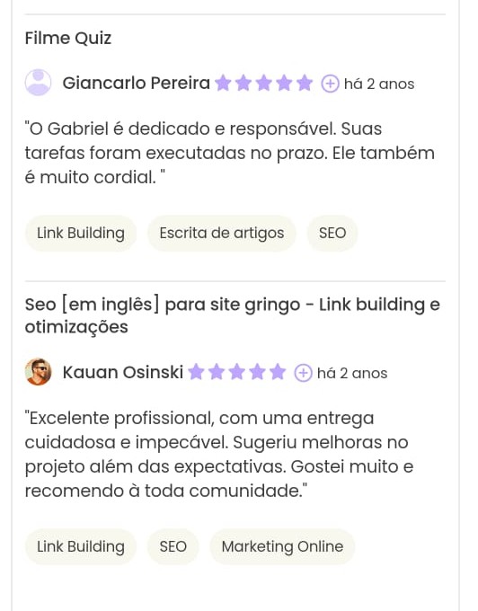 Print Workana do projeto Otimização Seo, indexação google e ranqueamento orgânico